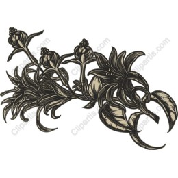Elegant Floral