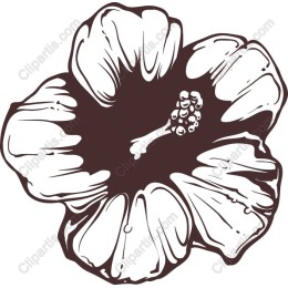 Vintage Hibiscus