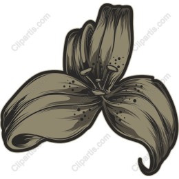 Stylized Flower