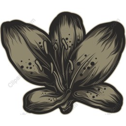 Elegant Floral