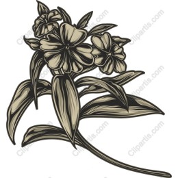Elegant Vintage Floral
