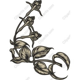 Elegant Floral Vine