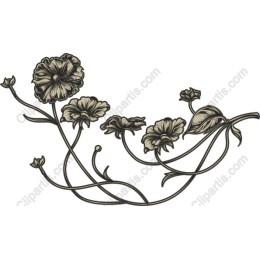 Vintage Floral