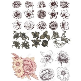 Floral Clipart Bundle - Elegant s