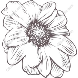 Elegant Flower