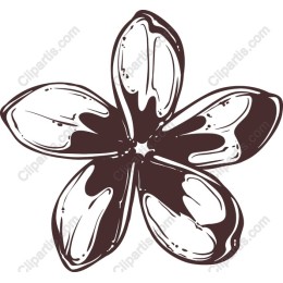 Elegant Five-Petal Flower