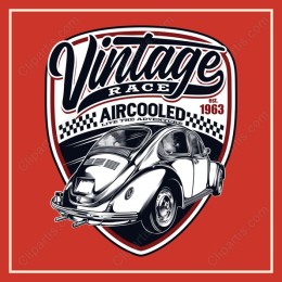 Vintage Race Car - Aircooled Adventure