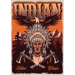 Indian Native Warrior