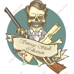 Vintage Skull Collection