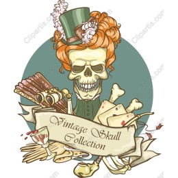 Vintage Skull Collection