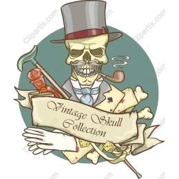 Vintage Skull Collection