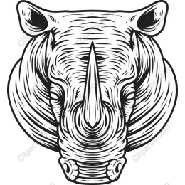 Majestic Rhinoceros