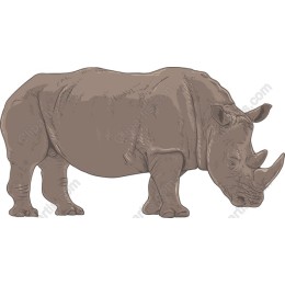 Rhinoceros