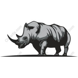 Majestic Rhino