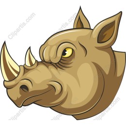 Rhinoceros Head