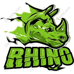 Vibrant Rhino - Available