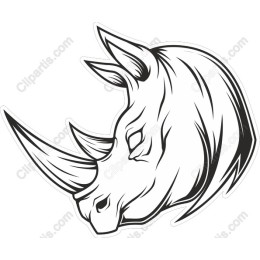 Rhinoceros Head