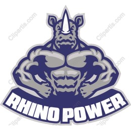 Rhino Power