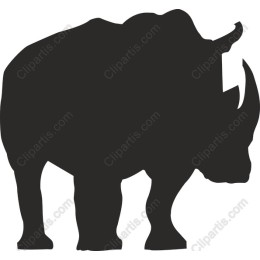 Rhinoceros