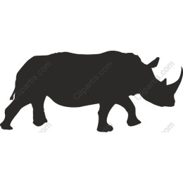 Rhinoceros