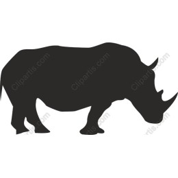 Rhinoceros