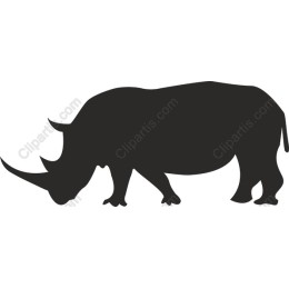 Rhinoceros