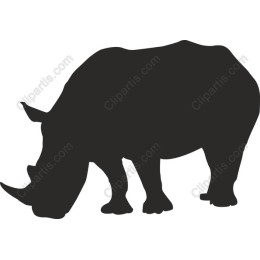 Rhinoceros