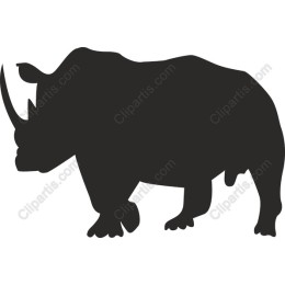 Rhinoceros