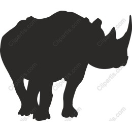 Rhinoceros