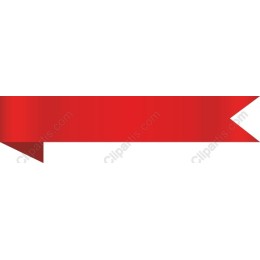 Premium Red Ribbon