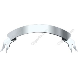 Elegant Ribbon