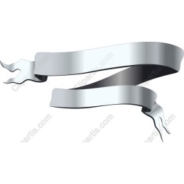 Elegant Decorative Ribbon