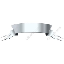 Elegant Silver Ribbon