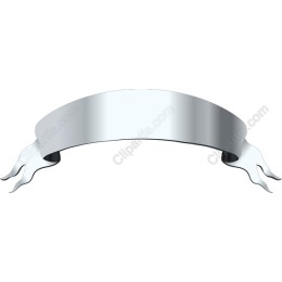 Elegant Silver Ribbon Banner
