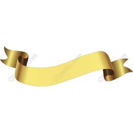 Elegant Golden Ribbon