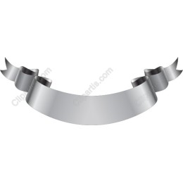 Elegant Silver Ribbon