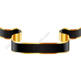 Golden Accented Black Ribbon