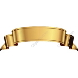 Elegant Gold Ribbon Banner
