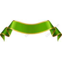 Elegant Green Ribbon with Gold Trim