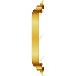 Elegant Golden Ribbon