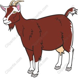 Friendly Brown Goat