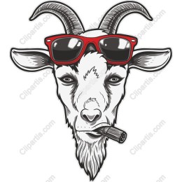 Trendy Goat