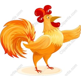 Colorful Rooster