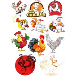 Chicken Clipart Set