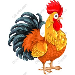 Majestic Rooster