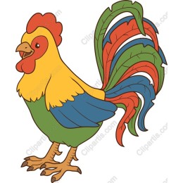 Colorful Rooster