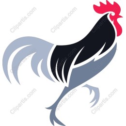 Vibrant Rooster