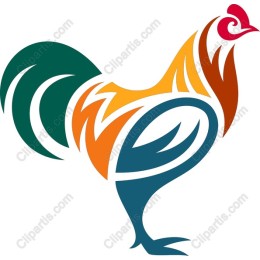 Vibrant Rooster