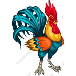 Vibrant Rooster