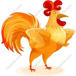 Vibrant Rooster